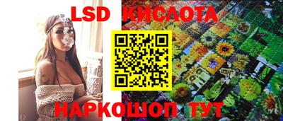 молекула духа Донецк