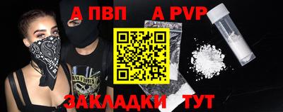 кокс Кингисепп
