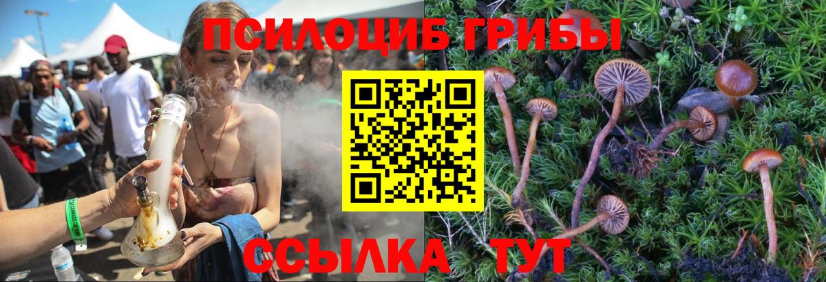 Галлюциногенные грибы GOLDEN TEACHER Ялуторовск