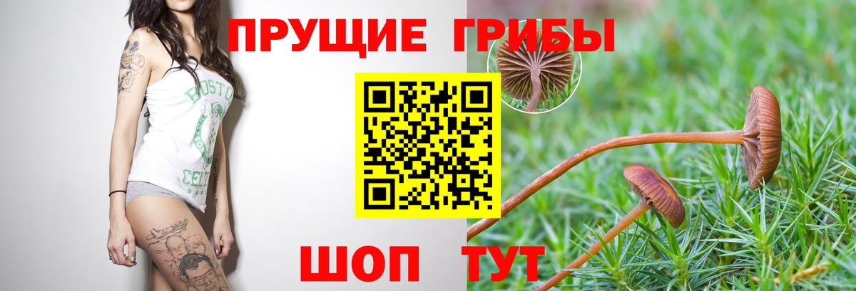 Галлюциногенные грибы Psilocybine cubensis  Вход с VPN  наркотики  Ялуторовск 